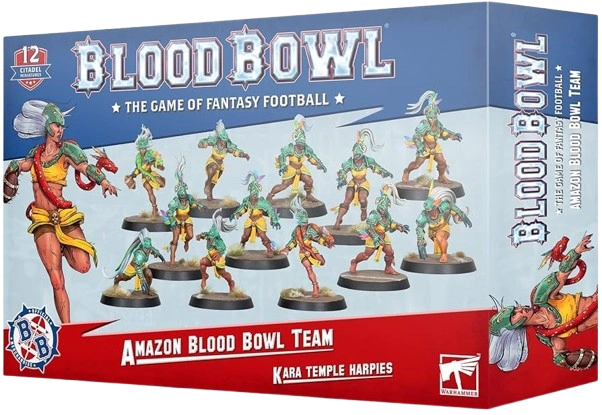 Bloodbowl Amazon team 